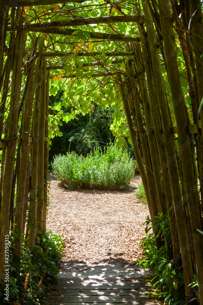 Allée couverte dans un jardin menant versun bosquet de plantes vertes foto  de Stock | Adobe Stock