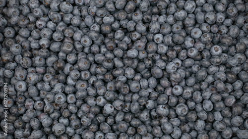 Raw blueberry background, the blue berry crop