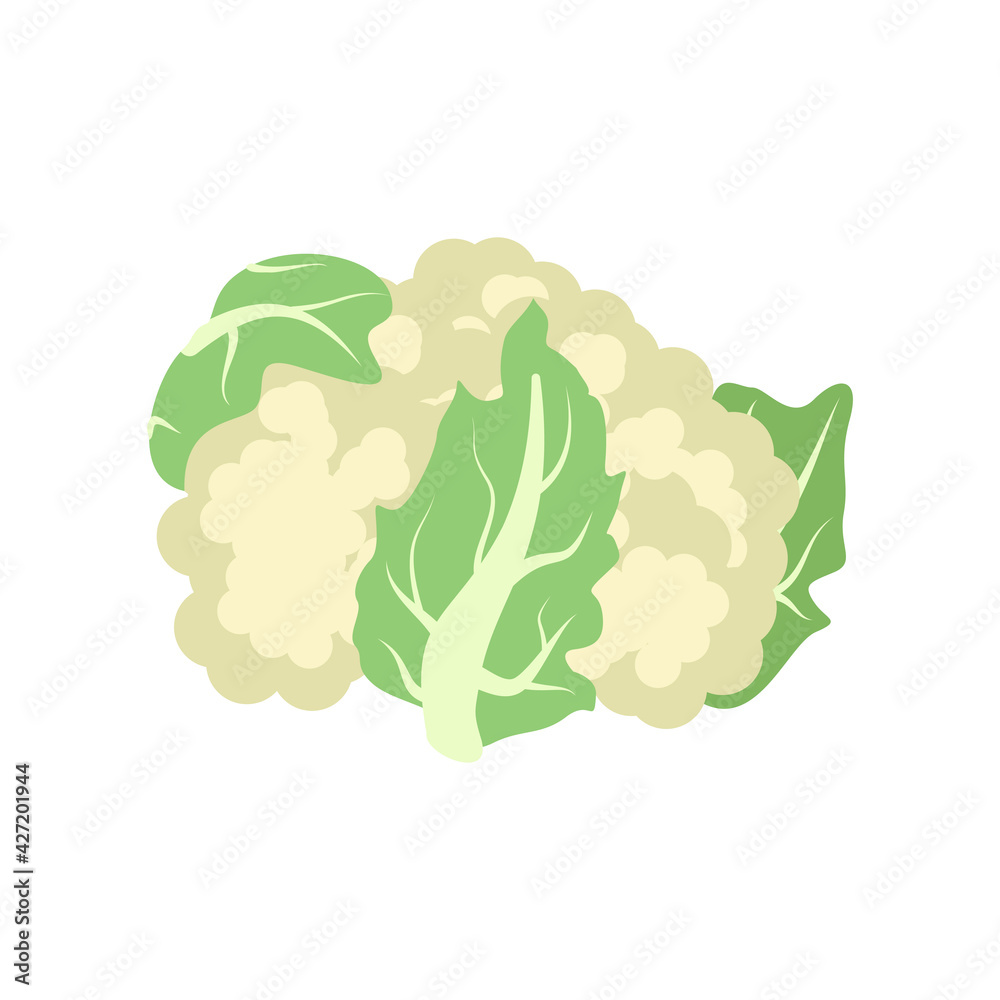 Cauliflower icon. Food for a healthy diet. Natural product green vegetable, suitable for vegetarians. A source of vitamins. Cauliflower icon. Food for a healthy diet. Natural product green vegetable, suitable for vegetarians. A source of vitamins.
