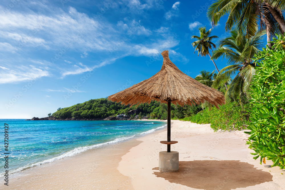 Parasol on beautiful beach with palms and turquoise sea in Paradise island.	