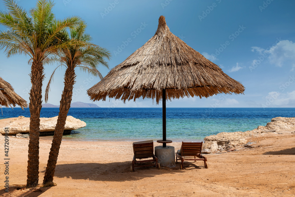 Palm trees and parasol in Sunny beach in tropical resort with in Red Sea coast in Egypt, Africa.
