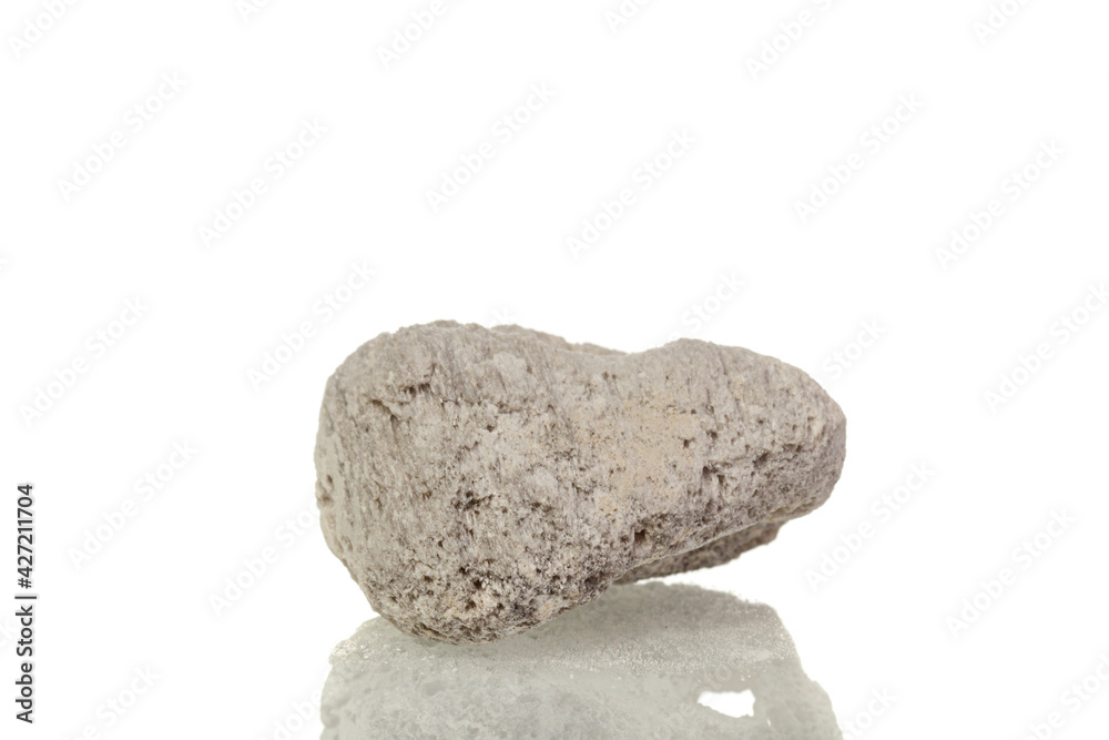 macro mineral stone Pumice on a white background macro mineral stone Pumice on a white background