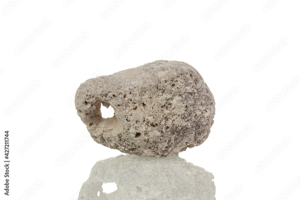 macro mineral stone Pumice on a white background macro mineral stone Pumice on a white background