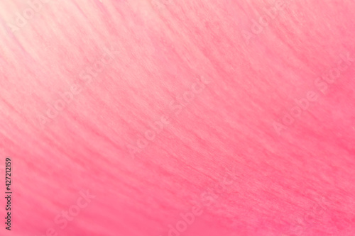 Obraz na płótnie Pink floral background w salonie