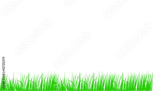 Green grass border isolated on a white background
