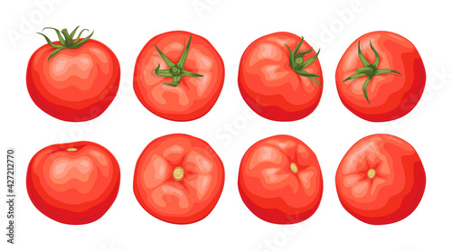 Set of red tomatoes. Fresh juicy tomatoes with a green sprig, top view, side view.