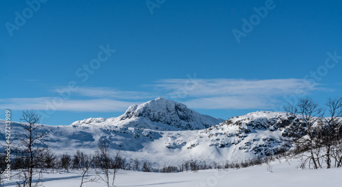 Mount Bitihorn in Norway on a sunny winters day. © henjon