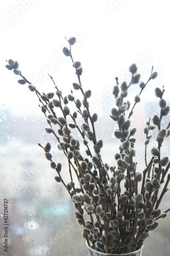 Bunch of willow twigs in a glass jar on a window with blurred background. Selective focus. Beautiful spring nature background. Willow tree branch. Easter, spring