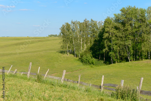 Summer landscape with ravine, forest and old wooden fence