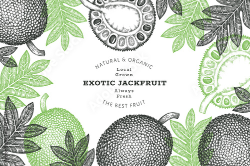 Hand drawn sketch style jackfruit banner. Organic fresh fruit vector illustration. Retro breadfruit design template