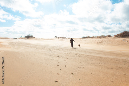 Figure of a man with a dog on a sandy beach