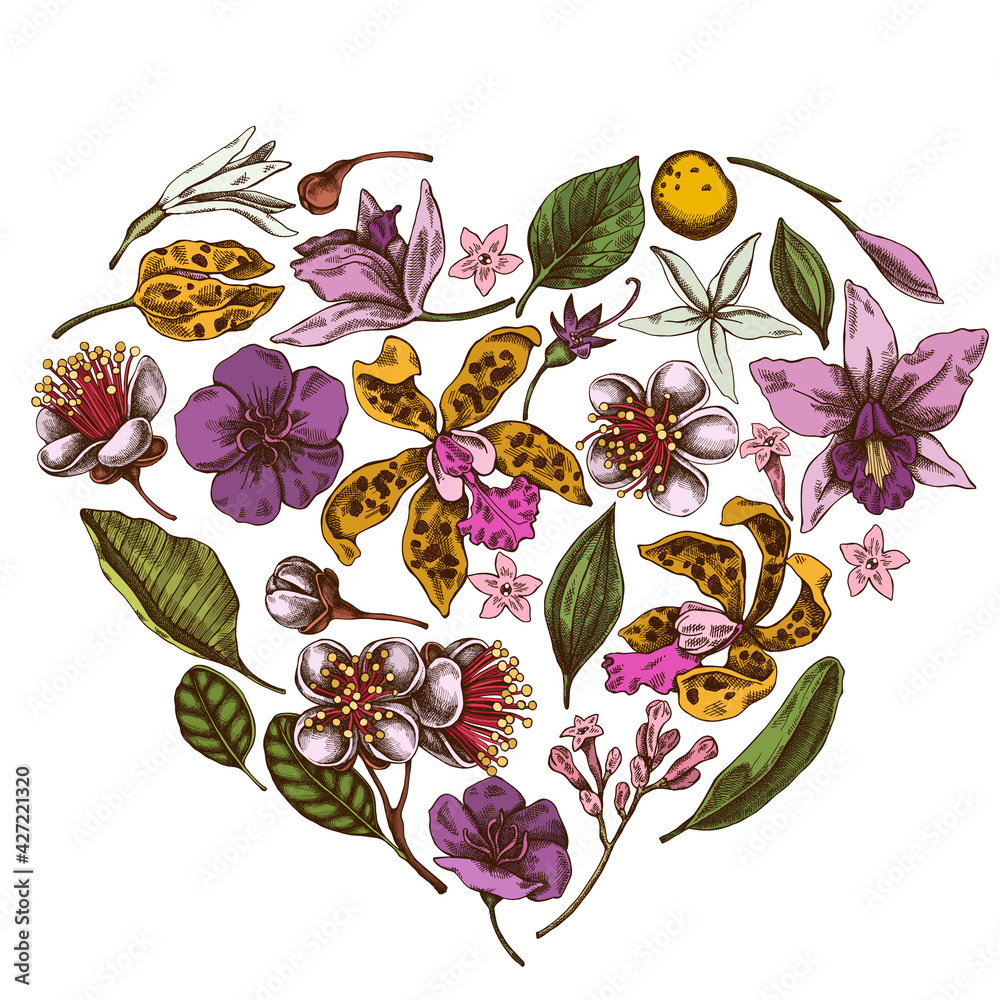 Heart floral design with colored laelia, feijoa flowers, glory bush, papilio torquatus, cinchona, cattleya aclandiae