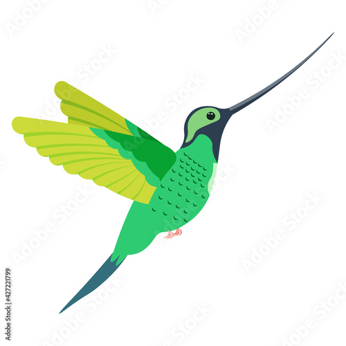 A bright multicolored hummingbird, a bird painted in several colors green gray light green. Vector illustration isolated on white background.