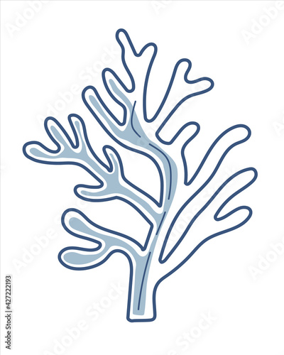 Sea life  hand drawn blue line vector coral.