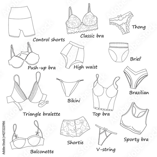 Illustration of different kinds woman panty and bras in flat style. Push-up, sporty, balconette, triangle bra. String, shortie, brazilian, thong, high-waist, brief panty.