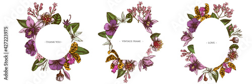 Floral frames with colored laelia, feijoa flowers, glory bush, papilio torquatus, cinchona, cattleya aclandiae
