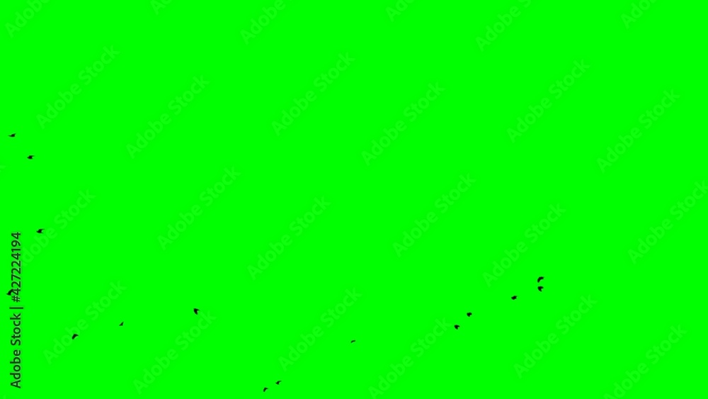 screensaver green screen free flight clear screensaver green screen free flight clear