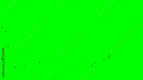 screensaver green screen free flight clear