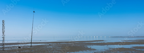 zeelandbrug under blue sky in water landscape of zeeland in holland photo