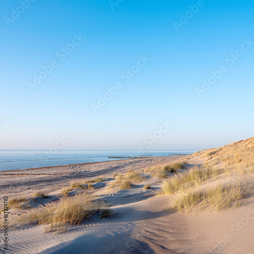sand dunes and deserted beach on the dutch coast of north sea in province of zeeland