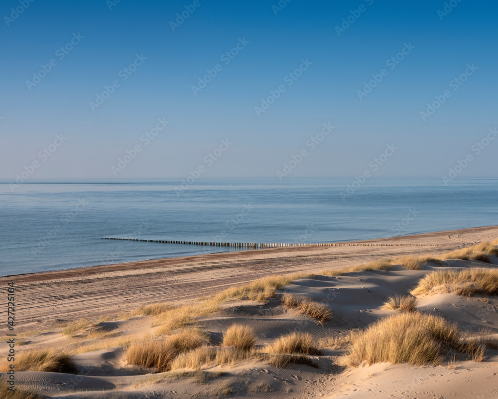 dunes and almost deserted beach on dutch coast near renesse in zeeland under blue sky