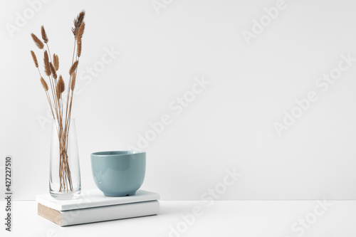 A mug and a pot with a houseplant, a transparent vase with a flower, white background. Eco-friendly materials in interior decor, minimalism. Copy space, mock up
