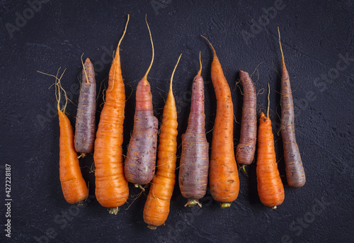 Fresh orange and purple carrots on dark plastered background, top view