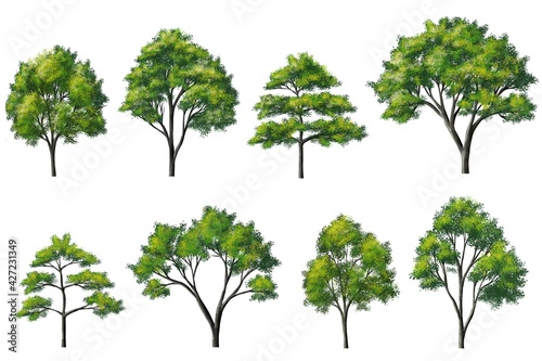 Collection of abstract watercolor tree side view isolated on white background  for landscape and architecture layout drawing  elements for environment and garden  blossom grass illustration