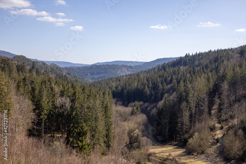 Ausblick im Schwarzwald mit wunderschöner Natur