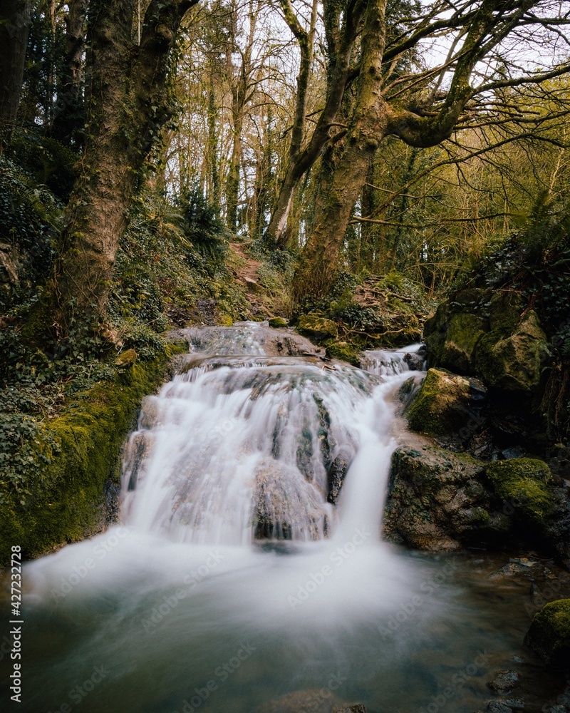 waterfall in the forest