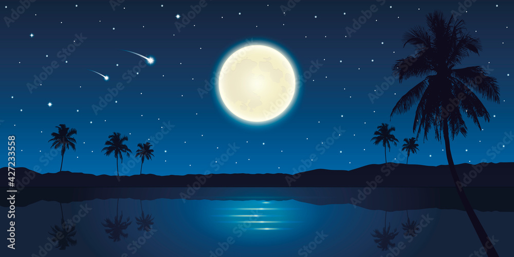 beautiful night on tropical landscape with full moon and falling stars beautiful night on tropical landscape with full moon and falling stars