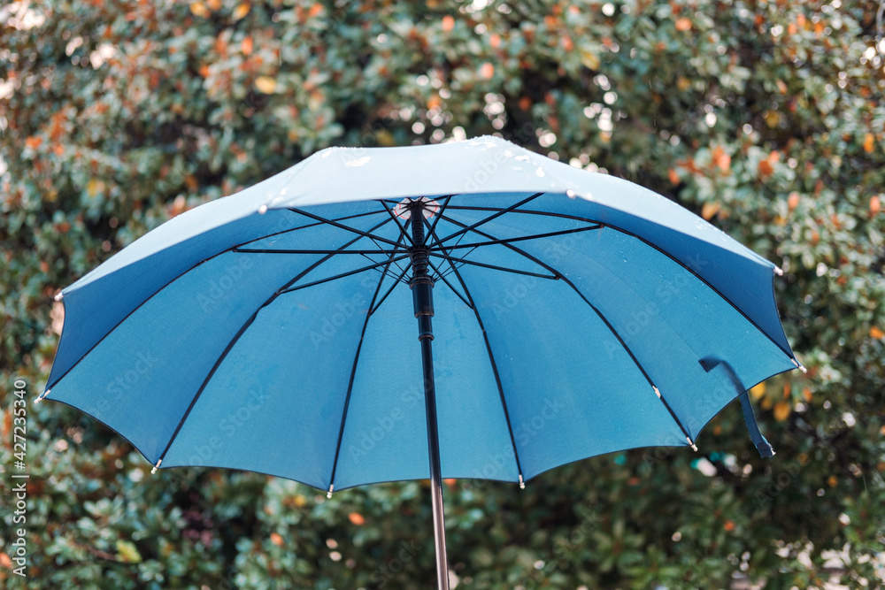 Openl umbrella on the nature blurred background