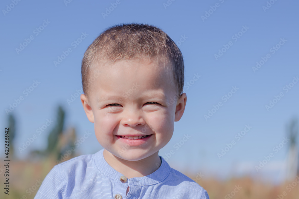 portrait of pretty little boy in blue skirt in the field portrait of pretty little boy in blue skirt in the field