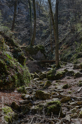  Kehlengrabenschlucht in Hofstetten in der Nähe von Basel
