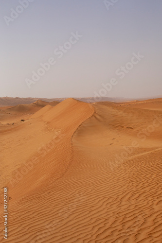 Sand dune ridge in desert of Oman