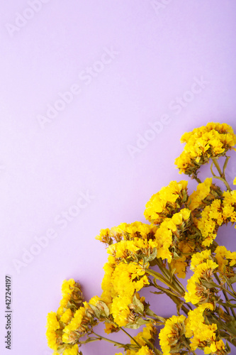 Flowers composition. Gypsophila flowers on purple background. Flat lay  top view  copy space. Vertical foto