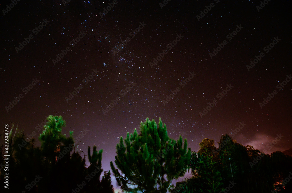 starry night sky starry night sky