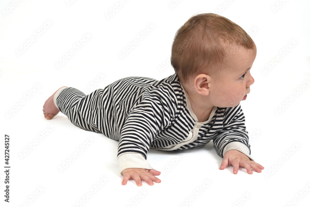 baby crawling on the floor looking away on white background baby crawling on the floor looking away on white background