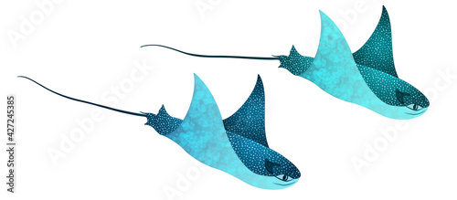 Manta ray fishes, marine animals, sea creatures vector illustration.