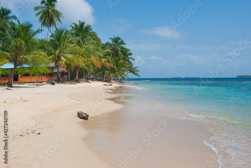 Palm trees on a tropical beach with crystal clear water to relax