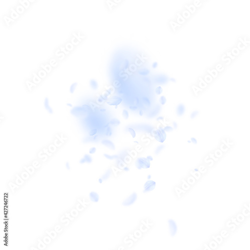 Light blue flower petals falling down. Bizarre rom