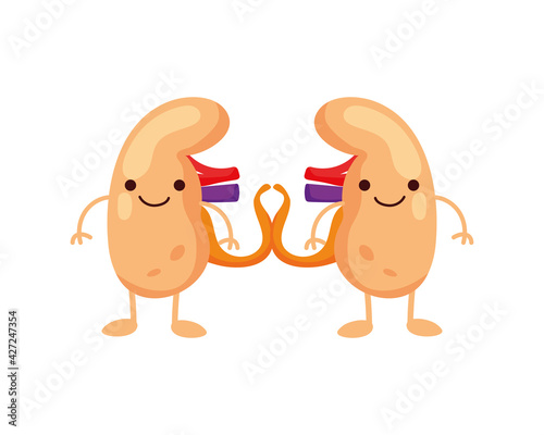 comic organs kidneys
