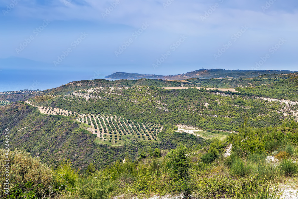 Llandscape on the Kassandra peninsula, Chalkidiki, Greece