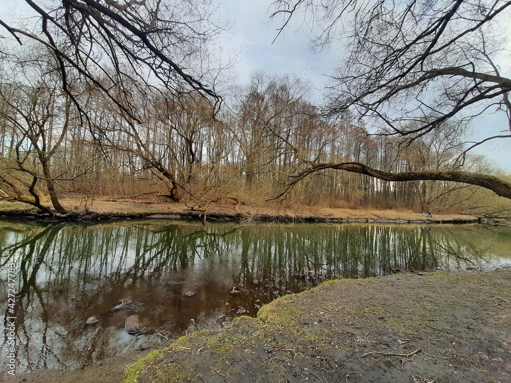 spring forest spot with river nearby spring forest spot with river nearby