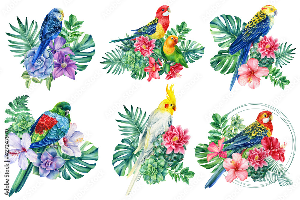 Tropical summer composition with parrots, palm leaves and exotic flowers. Watercolor birds on isolated background