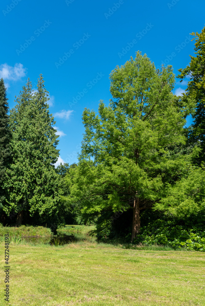 Landscape garden and Lütetsburg Castle Park in Lütetsburg