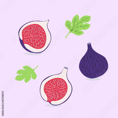 Doodle illustration of a fig, whole and cut in half and quarter, and fig leaf. Tropical fruit. 