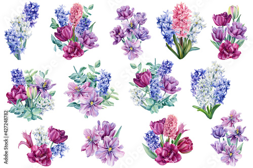 Set of bouquets of flowers. Tulips, hyacinths, eucalyptus leaves painted in watercolor on a white background