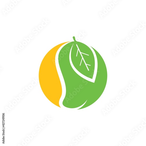 mango fruit vector illustration design