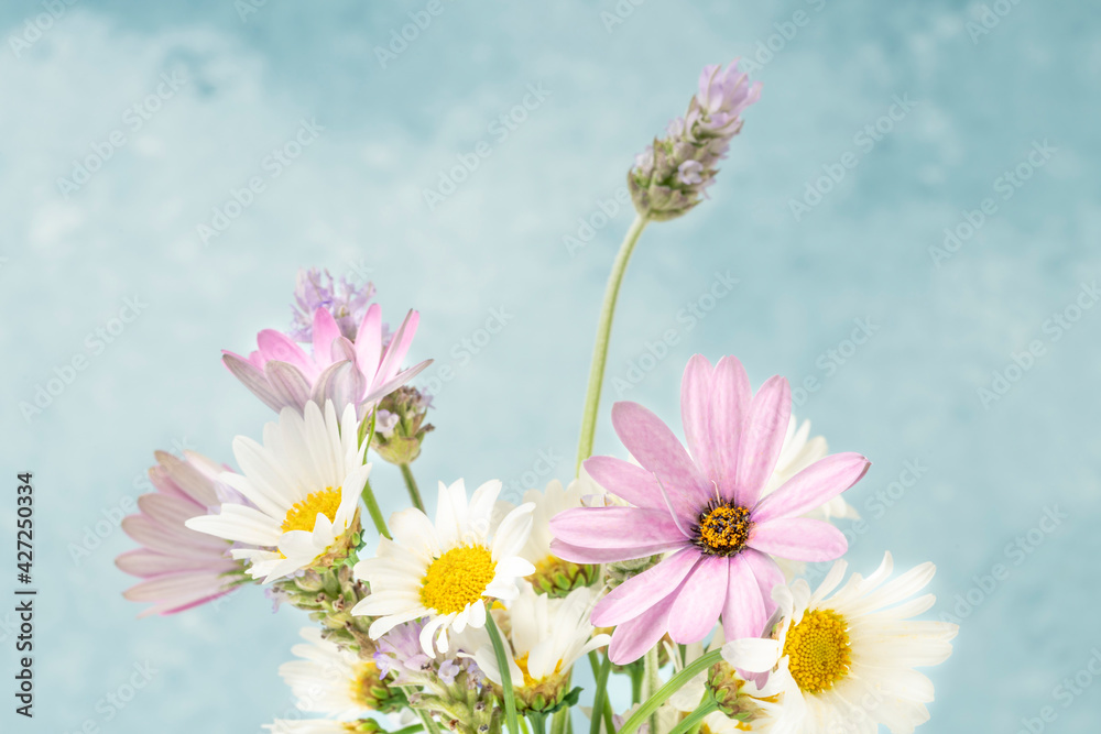 Fototapeta premium bunch of spring flowers over blue background with copy space